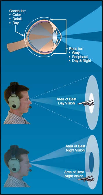 Figure 10-1. Rods and cones.