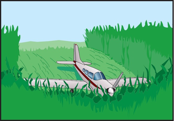 
Figure 16-1. Using vegetation to absorb energy.