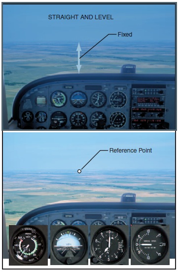 Nose reference for straight-and-level flight