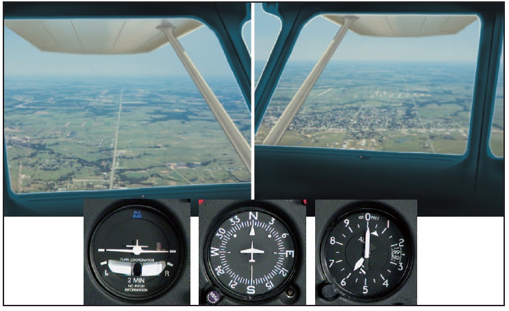 Wingtip reference for straight-and-level flight